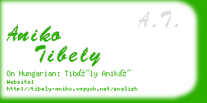 aniko tibely business card